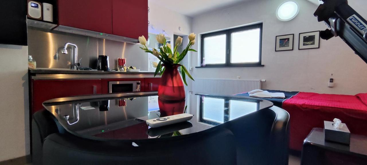 Logeerkamer Xxl 25 M2 Zemst 外观 照片